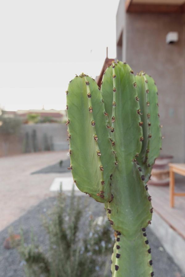 Casa Michaus Valle De Guadalupe Ngoại thất bức ảnh