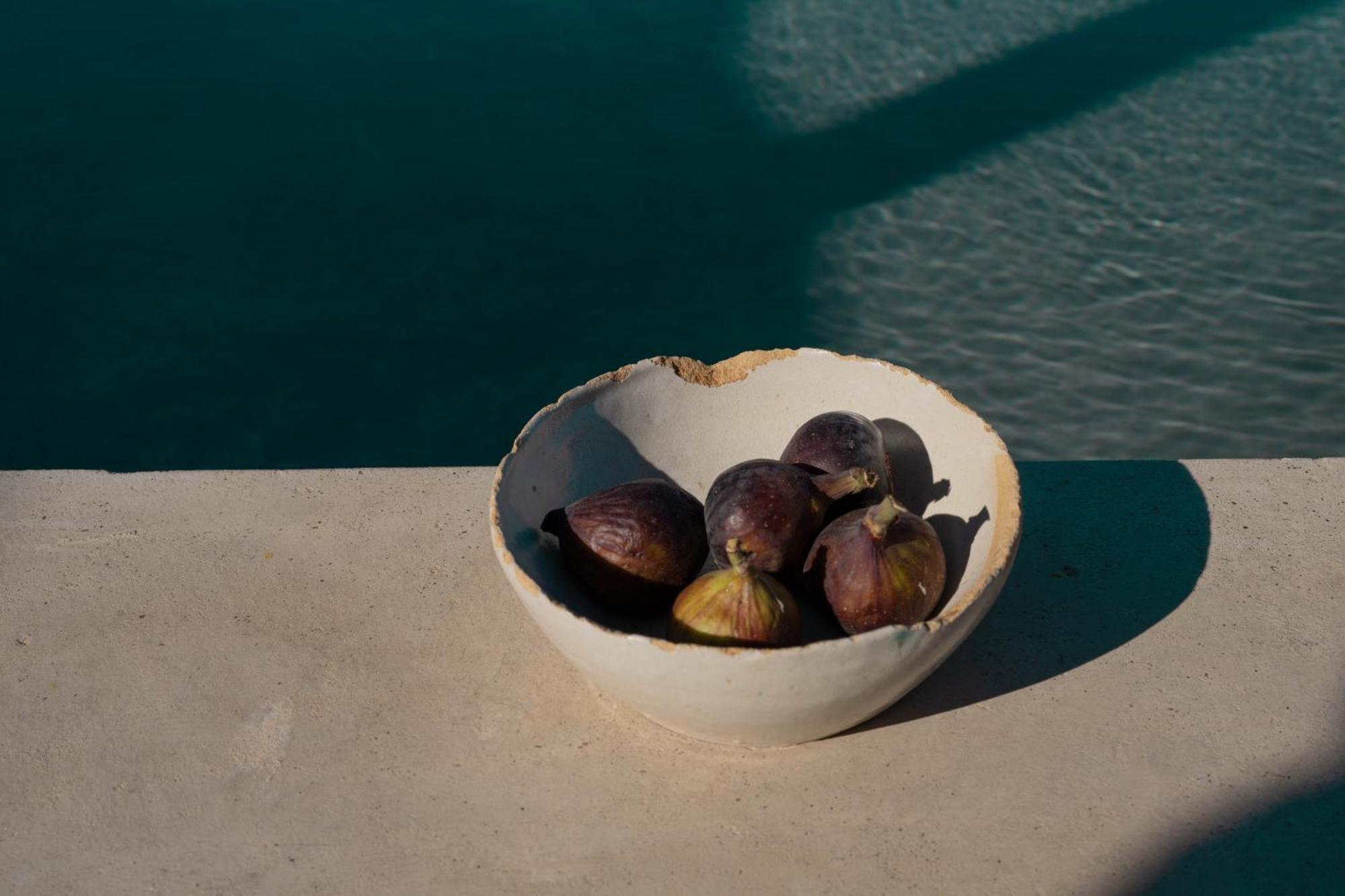 Casa Michaus Valle De Guadalupe Ngoại thất bức ảnh